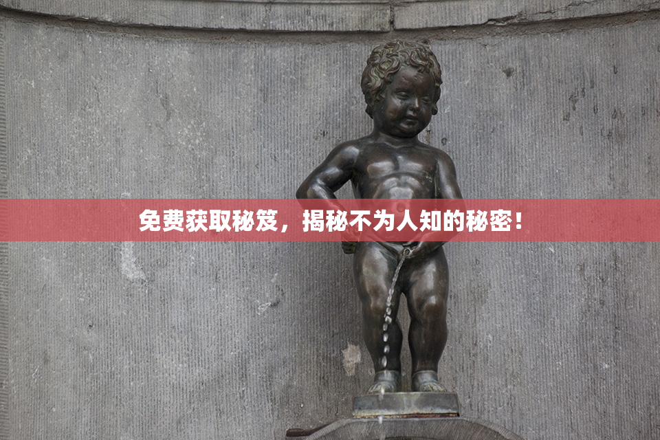 免费获取秘笈，揭秘不为人知的秘密！