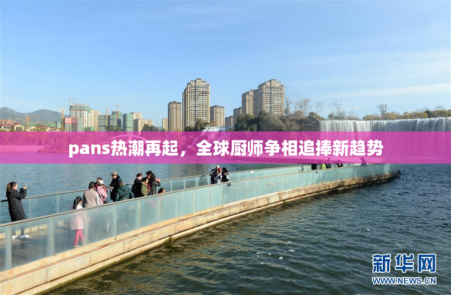 pans热潮再起，全球厨师争相追捧新趋势
