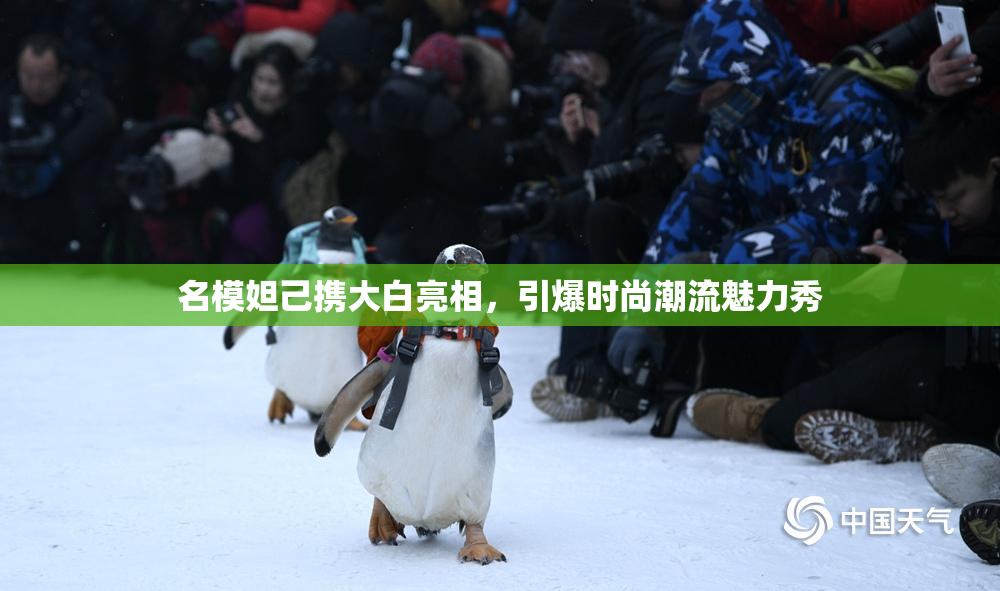名模妲己携大白亮相，引爆时尚潮流魅力秀