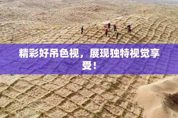精彩好吊色视，展现独特视觉享受！