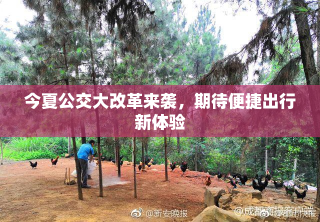 今夏公交大改革来袭，期待便捷出行新体验