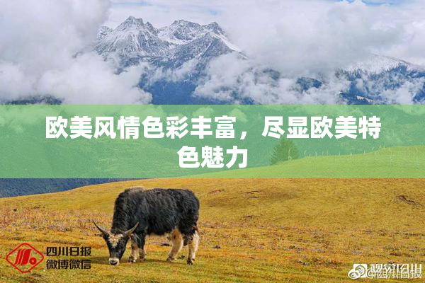 欧美风情色彩丰富，尽显欧美特色魅力