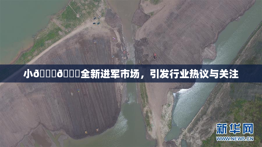 小🐔🐔全新进军市场，引发行业热议与关注
