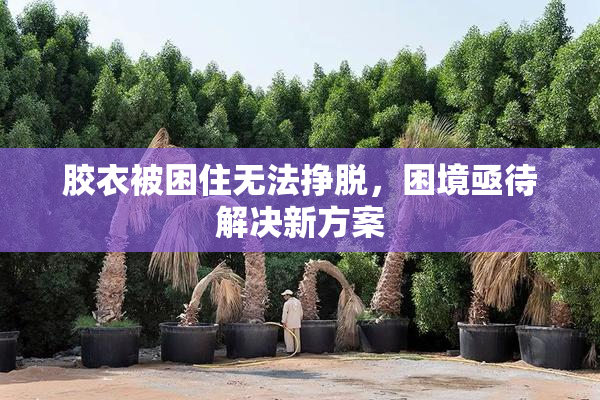 胶衣被困住无法挣脱，困境亟待解决新方案