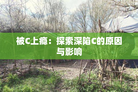 被C上瘾：探索深陷C的原因与影响