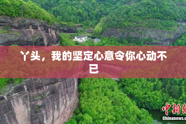 丫头，我的坚定心意令你心动不已