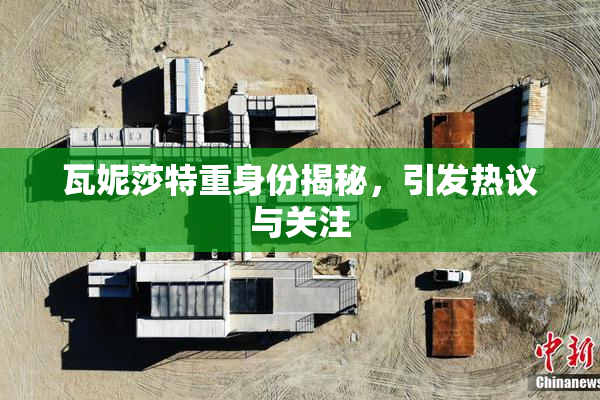 瓦妮莎特重身份揭秘，引发热议与关注