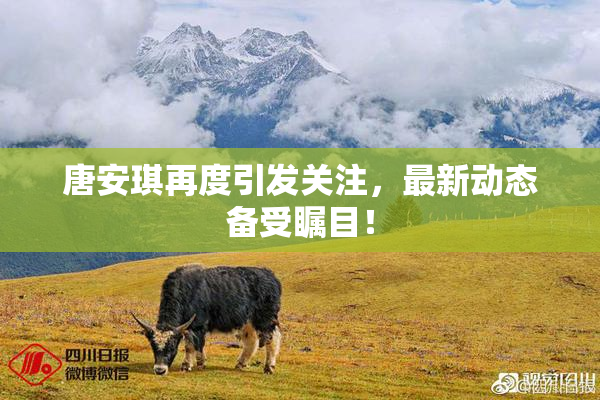 唐安琪再度引发关注，最新动态备受瞩目！