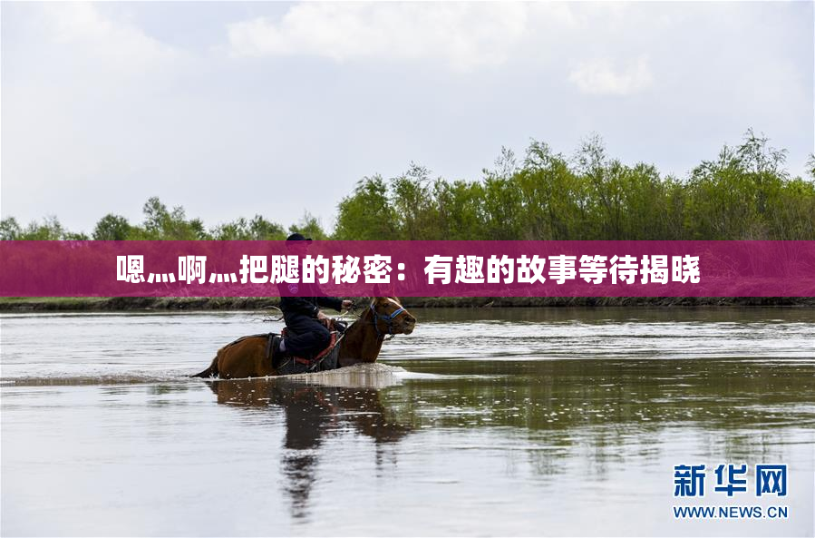 嗯灬啊灬把腿的秘密：有趣的故事等待揭晓