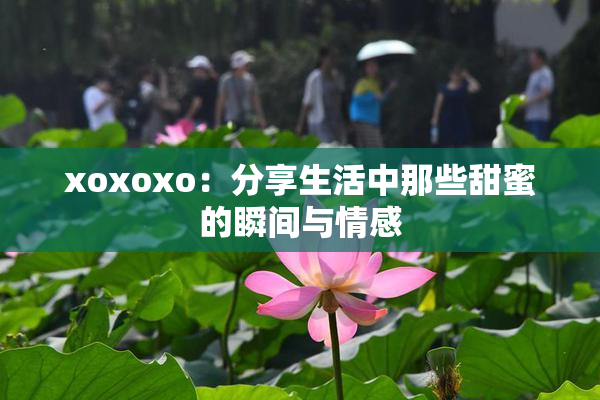 xoxoxo：分享生活中那些甜蜜的瞬间与情感