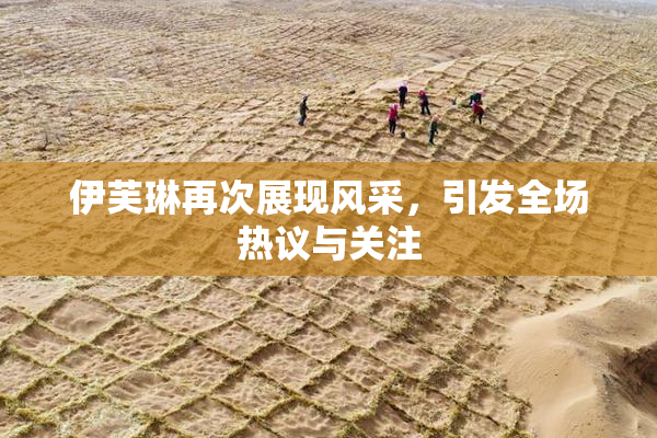 伊芙琳再次展现风采，引发全场热议与关注