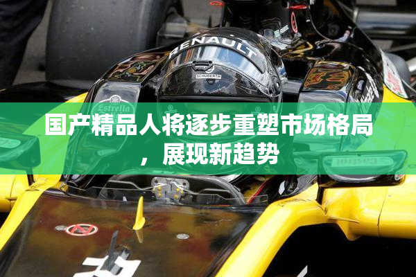 国产精品人将逐步重塑市场格局，展现新趋势