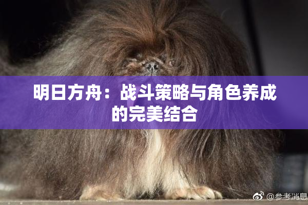 明日方舟：战斗策略与角色养成的完美结合