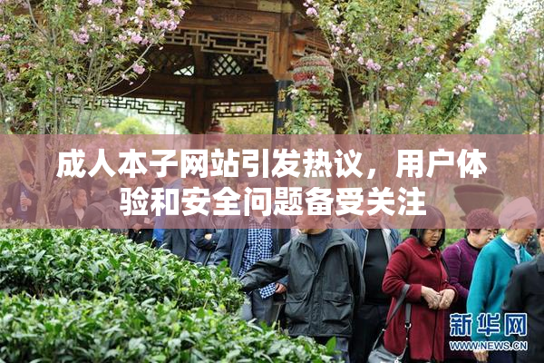 成人本子网站引发热议，用户体验和安全问题备受关注