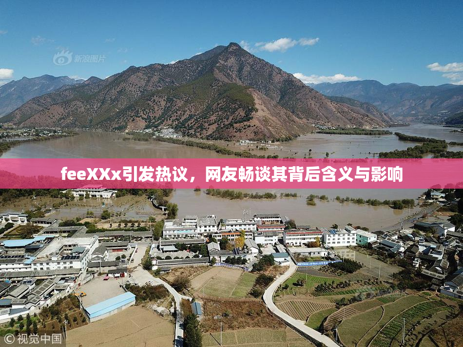 feeXXx引发热议，网友畅谈其背后含义与影响