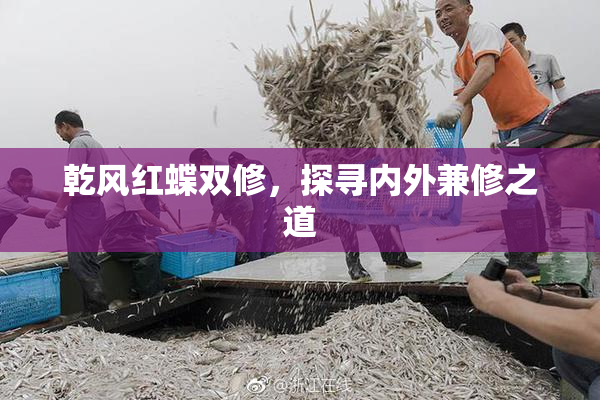 乾风红蝶双修，探寻内外兼修之道