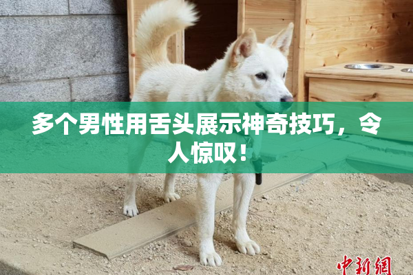 多个男性用舌头展示神奇技巧，令人惊叹！