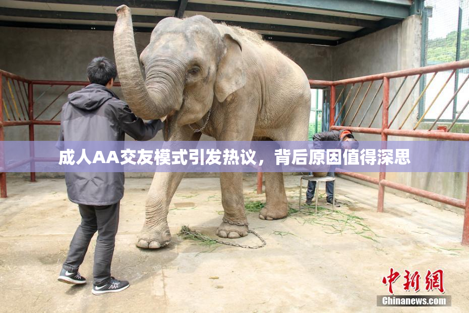 成人AA交友模式引发热议，背后原因值得深思