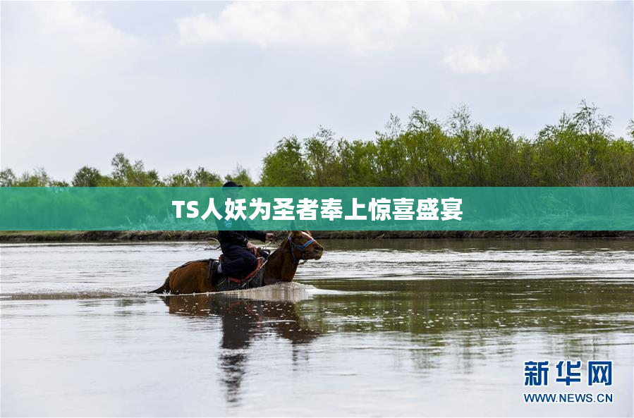 TS人妖为圣者奉上惊喜盛宴