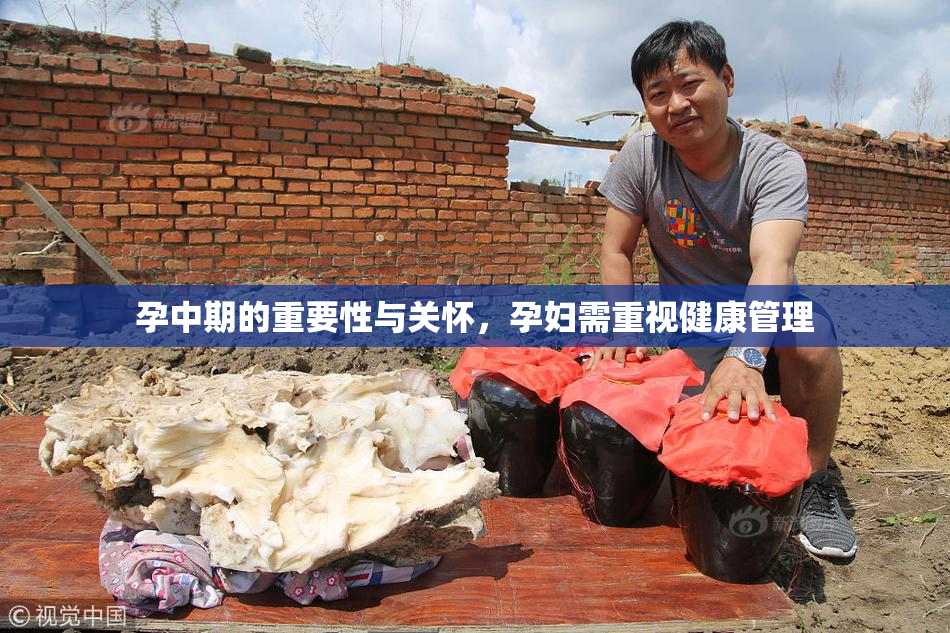孕中期的重要性与关怀，孕妇需重视健康管理