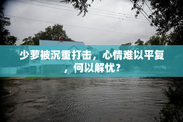 少萝被沉重打击，心情难以平复，何以解忧？