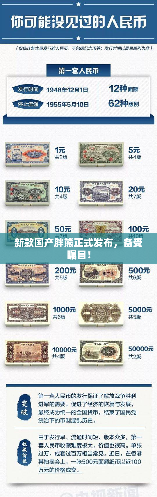 新款国产胖熊正式发布，备受瞩目！