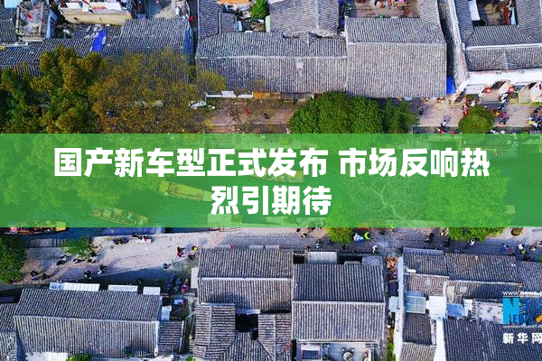 国产新车型正式发布 市场反响热烈引期待