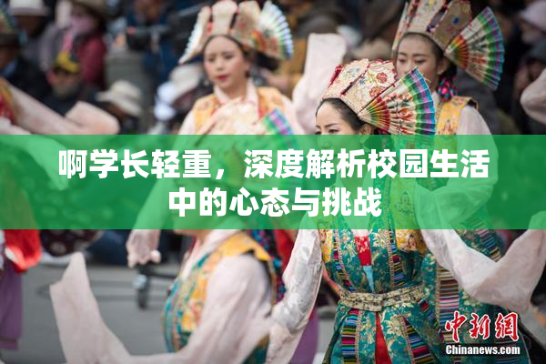啊学长轻重，深度解析校园生活中的心态与挑战
