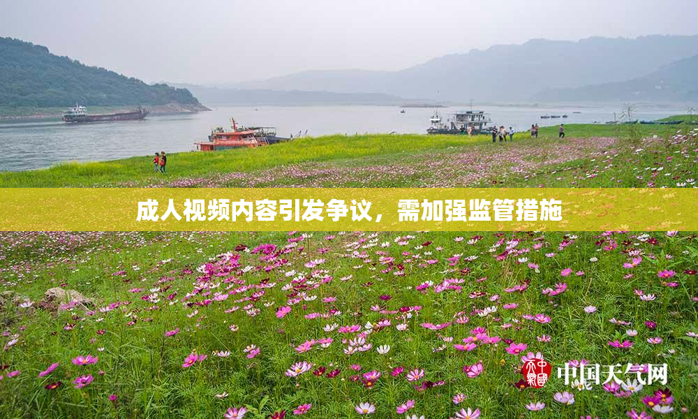 成人视频内容引发争议，需加强监管措施