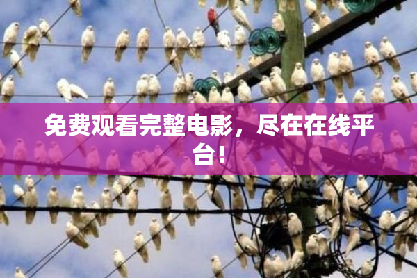 免费观看完整电影，尽在在线平台！