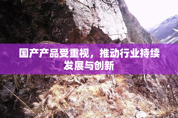 国产产品受重视，推动行业持续发展与创新