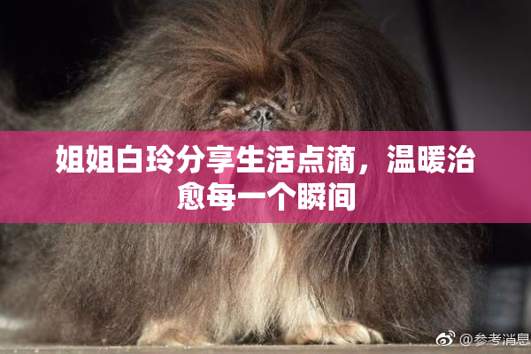 姐姐白玲分享生活点滴，温暖治愈每一个瞬间