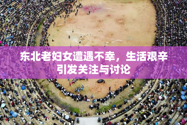 东北老妇女遭遇不幸，生活艰辛引发关注与讨论