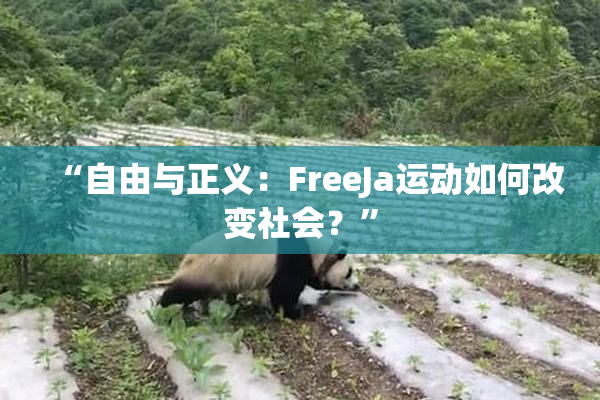 “自由与正义：FreeJa运动如何改变社会？”