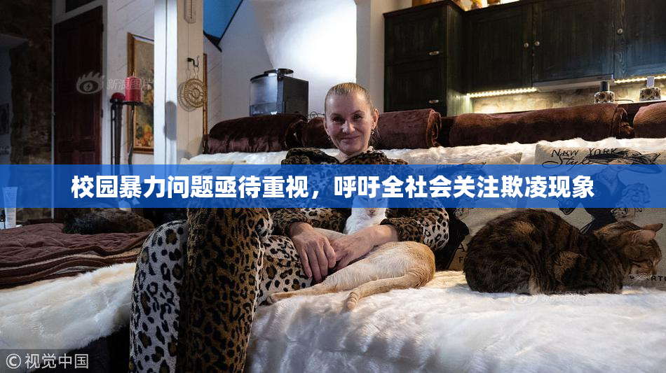 校园暴力问题亟待重视，呼吁全社会关注欺凌现象