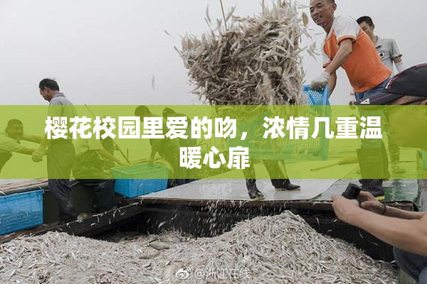 樱花校园里爱的吻，浓情几重温暖心扉