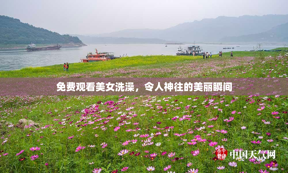 免费观看美女洗澡，令人神往的美丽瞬间