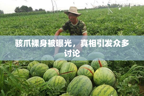 骇爪裸身被曝光，真相引发众多讨论