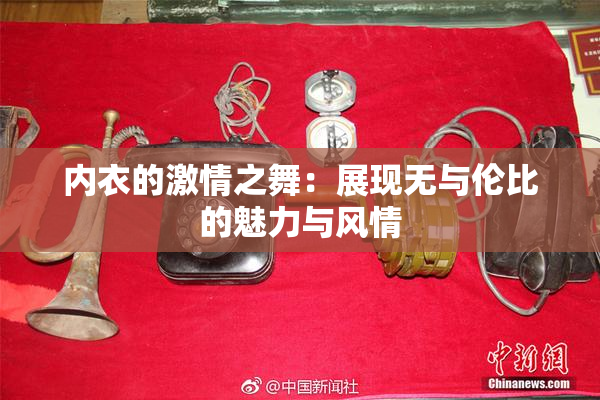 内衣的激情之舞：展现无与伦比的魅力与风情