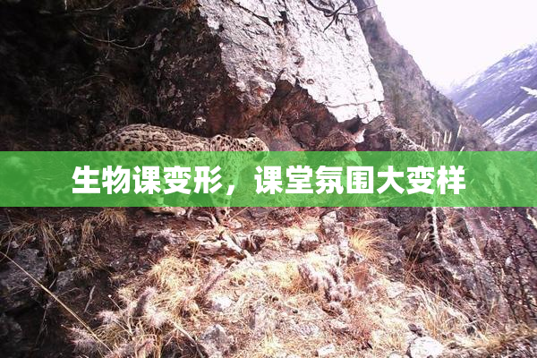 生物课变形，课堂氛围大变样