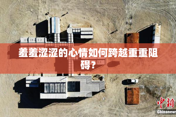 羞羞涩涩的心情如何跨越重重阻碍？