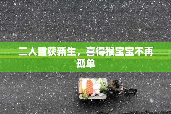 二人重获新生，喜得猴宝宝不再孤单