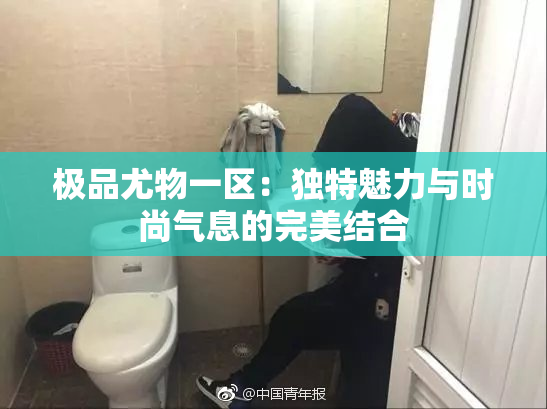 极品尤物一区：独特魅力与时尚气息的完美结合
