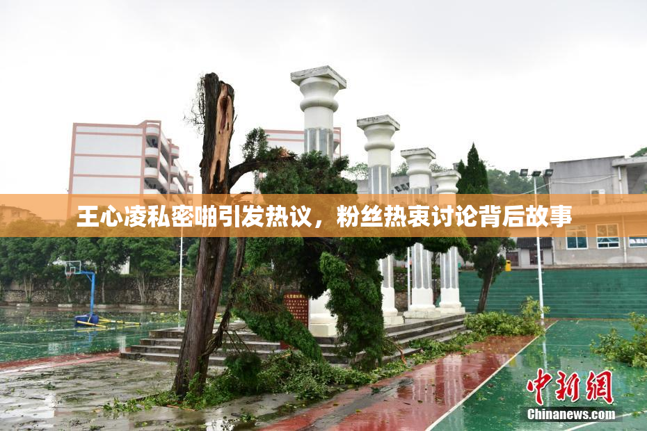 王心凌私密啪引发热议，粉丝热衷讨论背后故事
