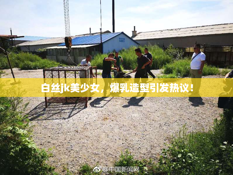 白丝jk美少女，爆乳造型引发热议！