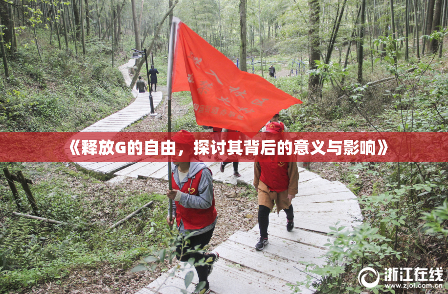 《释放G的自由，探讨其背后的意义与影响》