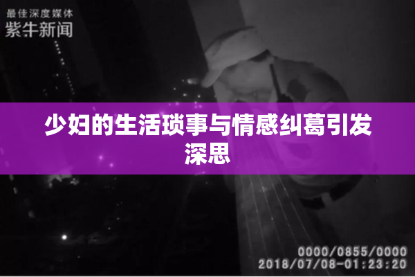 少妇的生活琐事与情感纠葛引发深思