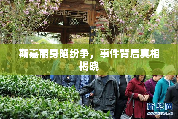 斯嘉丽身陷纷争，事件背后真相揭晓