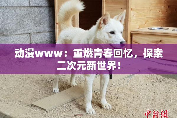 动漫www：重燃青春回忆，探索二次元新世界！