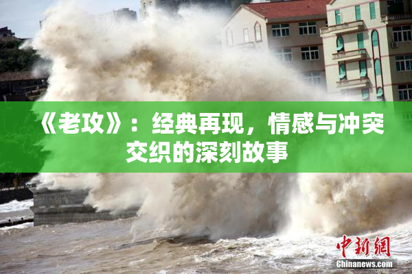 《老攻》：经典再现，情感与冲突交织的深刻故事